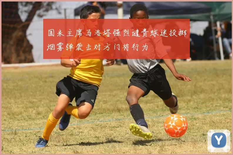 国米主席马洛塔强烈谴责球迷投掷烟雾弹袭击对方门将行为