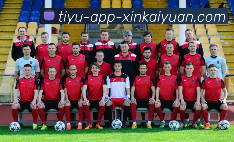 开元体育平台生态图